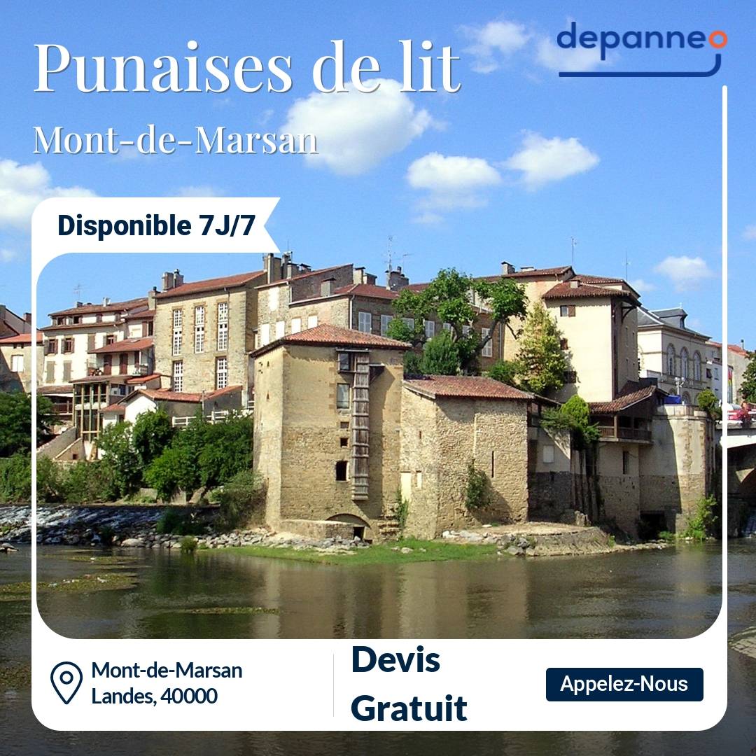punaise de lit Mont-de-Marsan