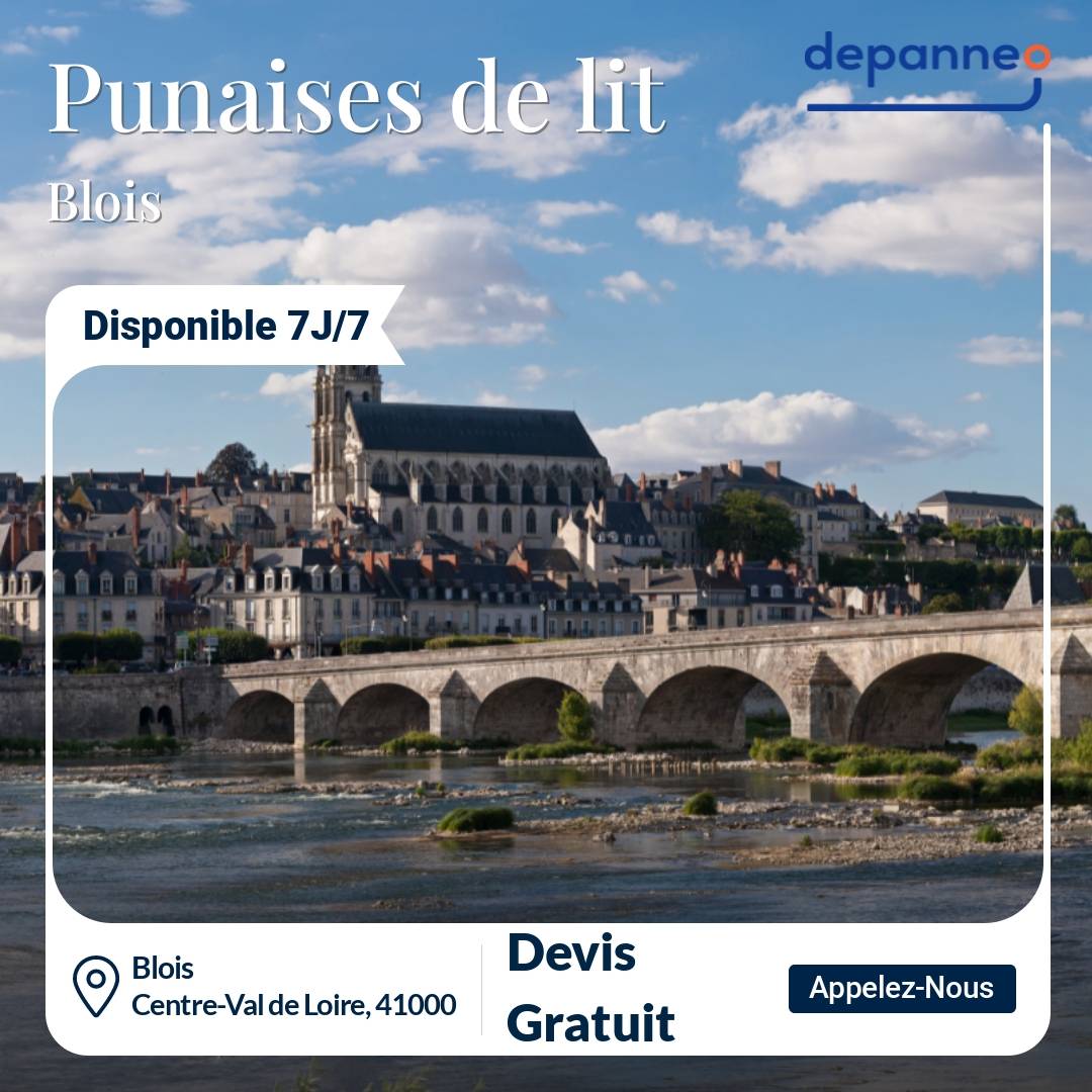 punaise de lit Blois