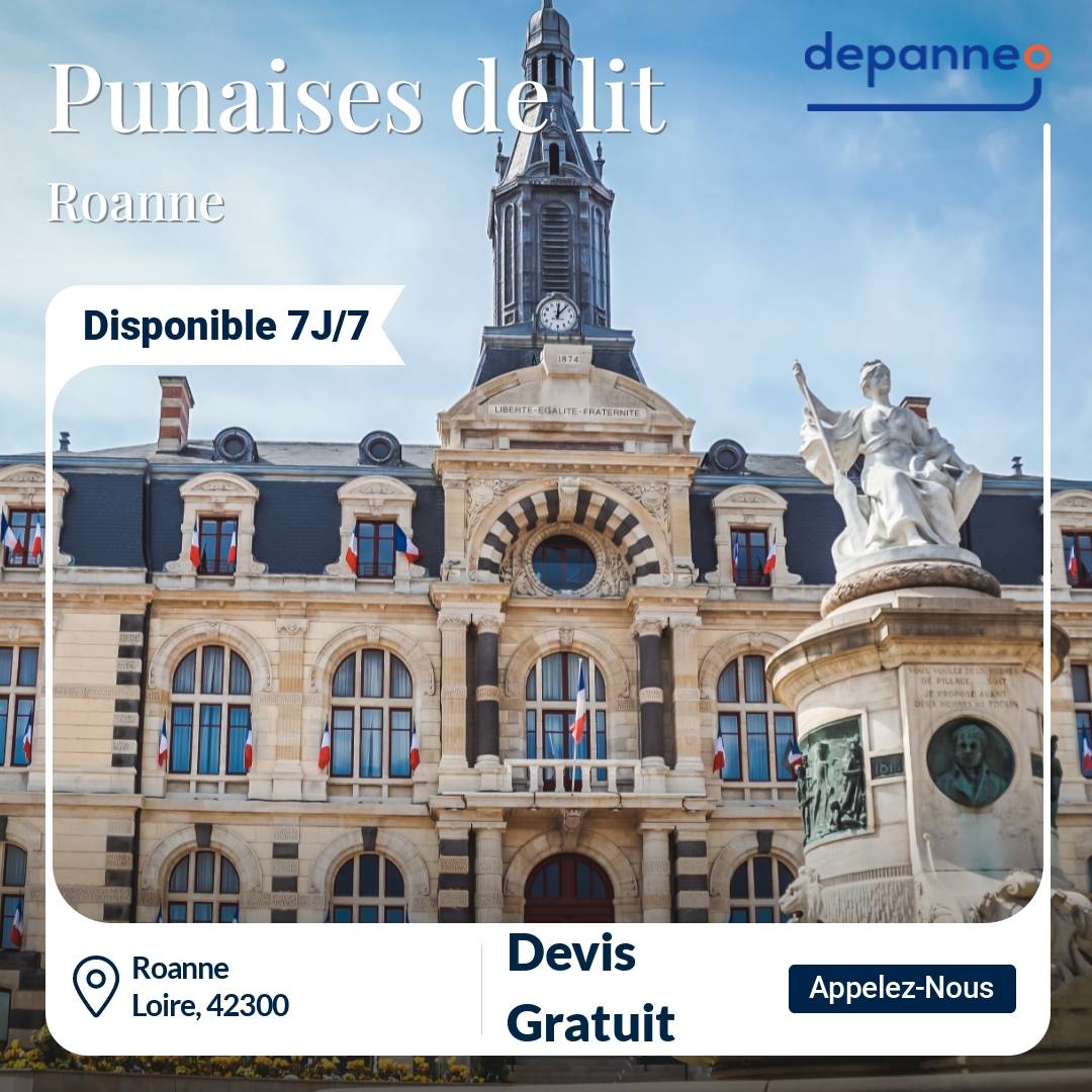 punaise de lit Roanne