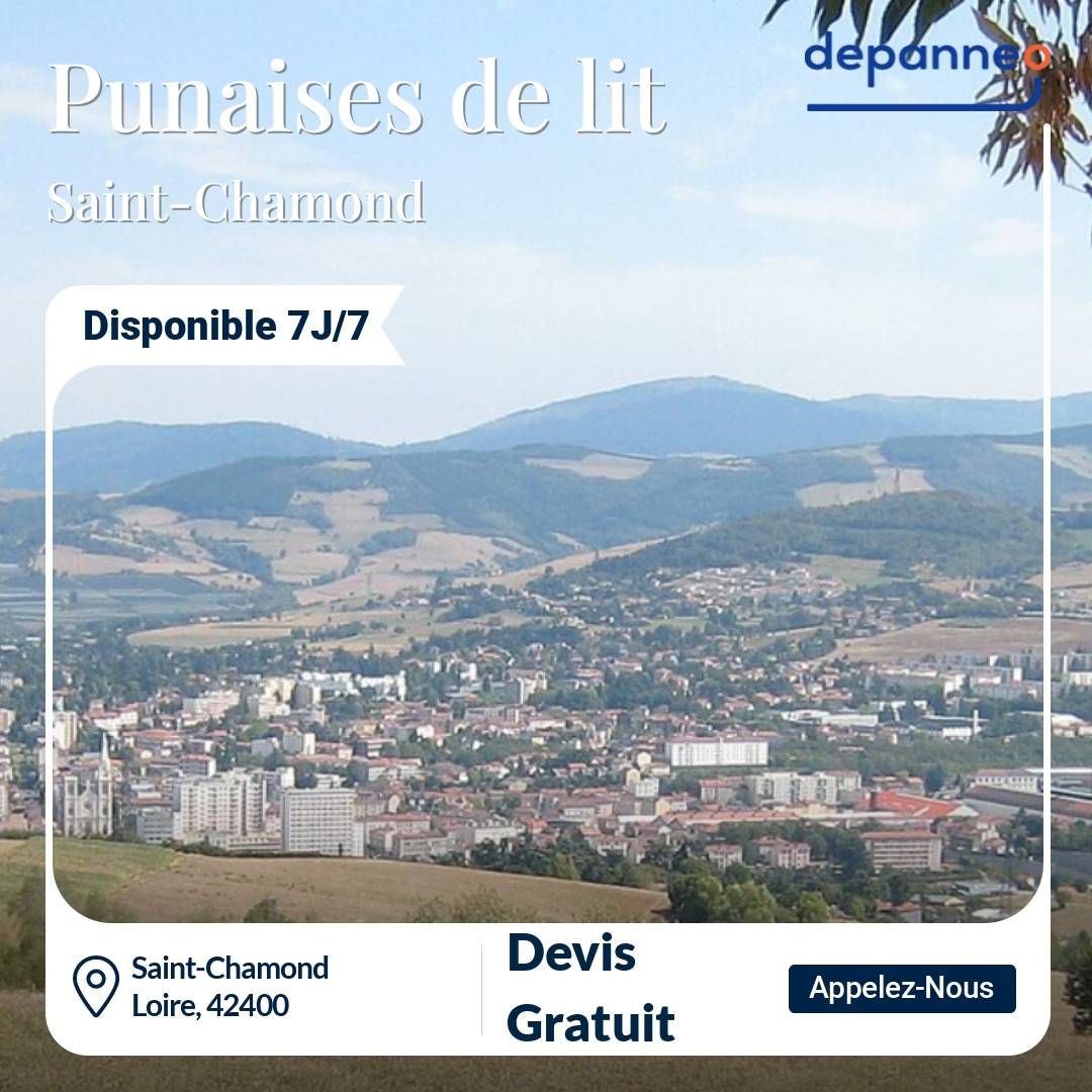 punaise de lit Saint-Chamond