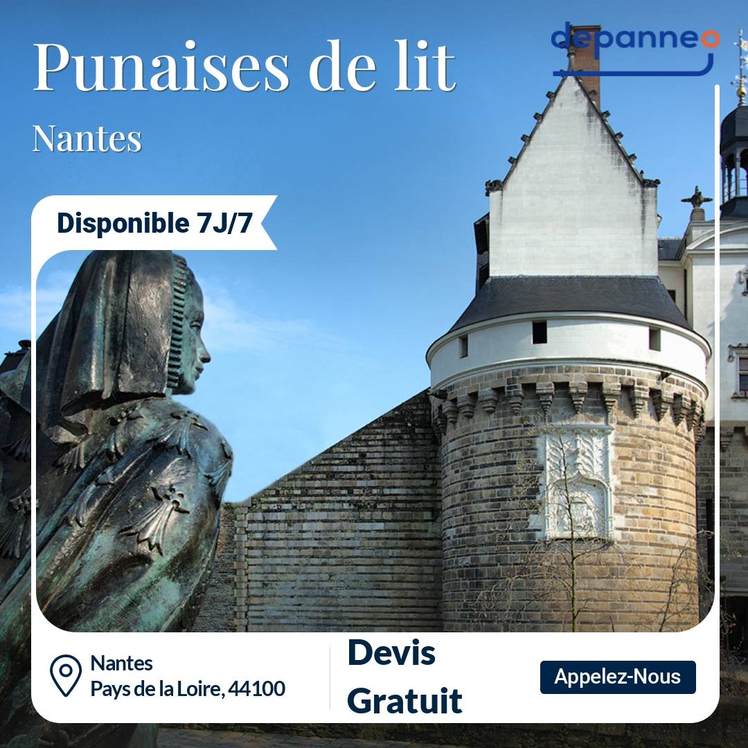 punaise de lit Nantes