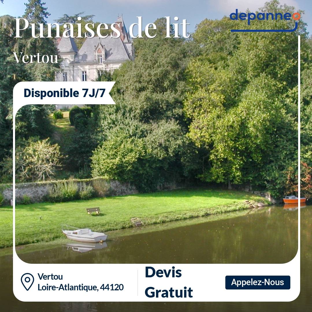 punaise de lit Vertou