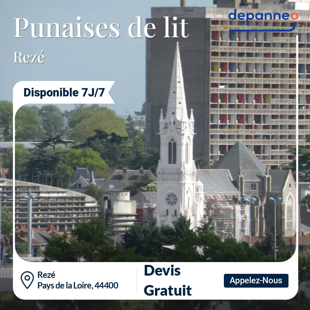 punaise de lit Rezé