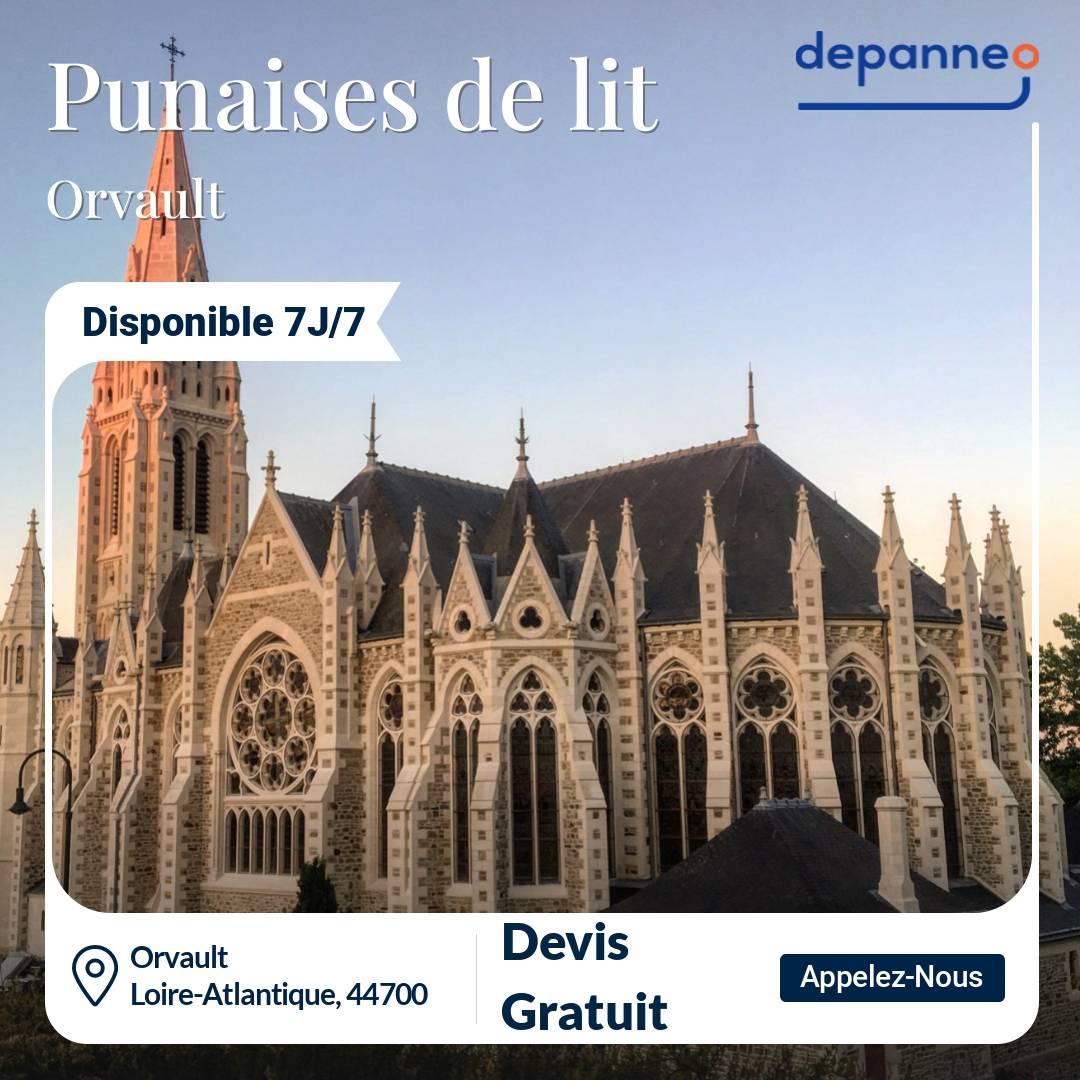 punaise de lit Orvault