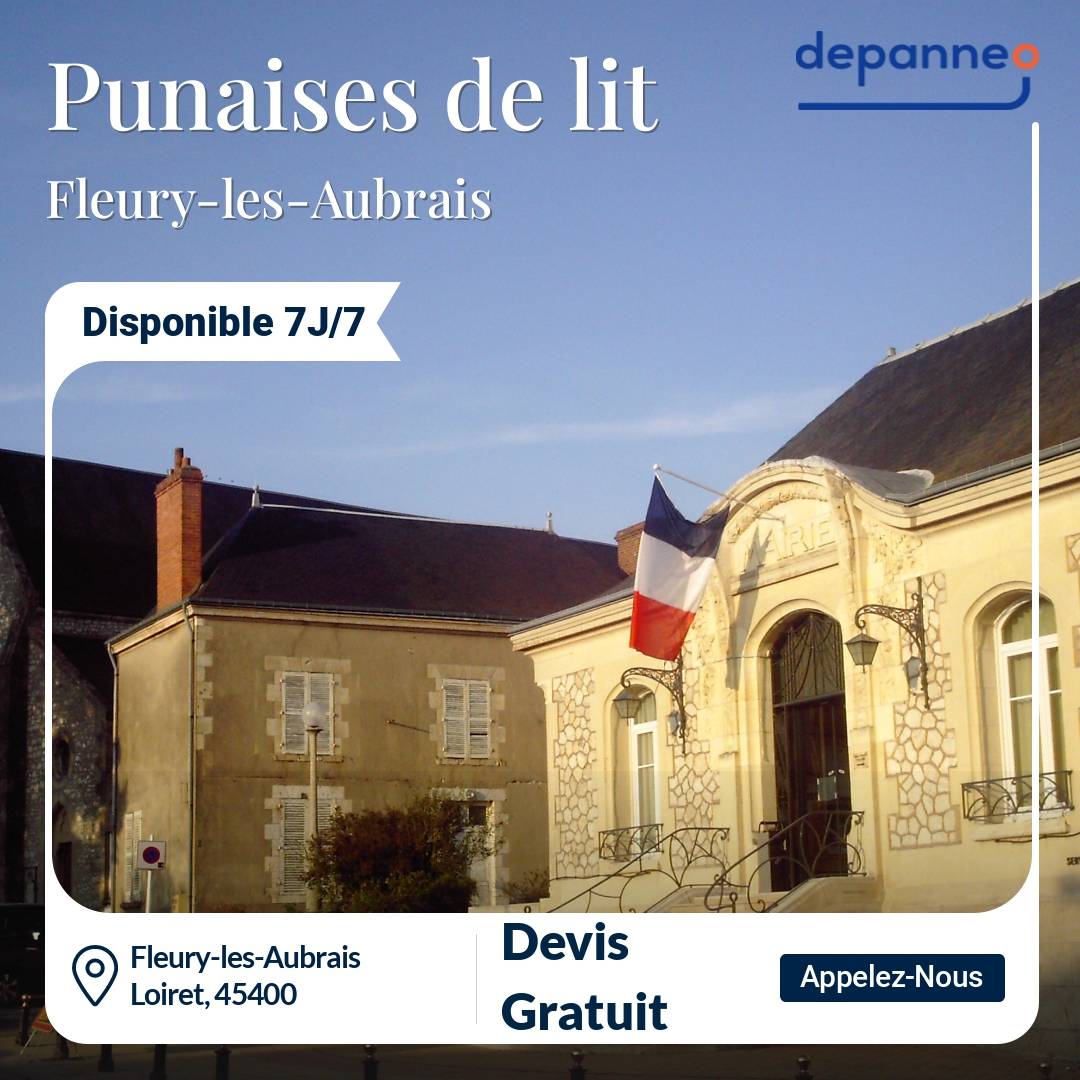 punaise de lit Fleury-les-Aubrais