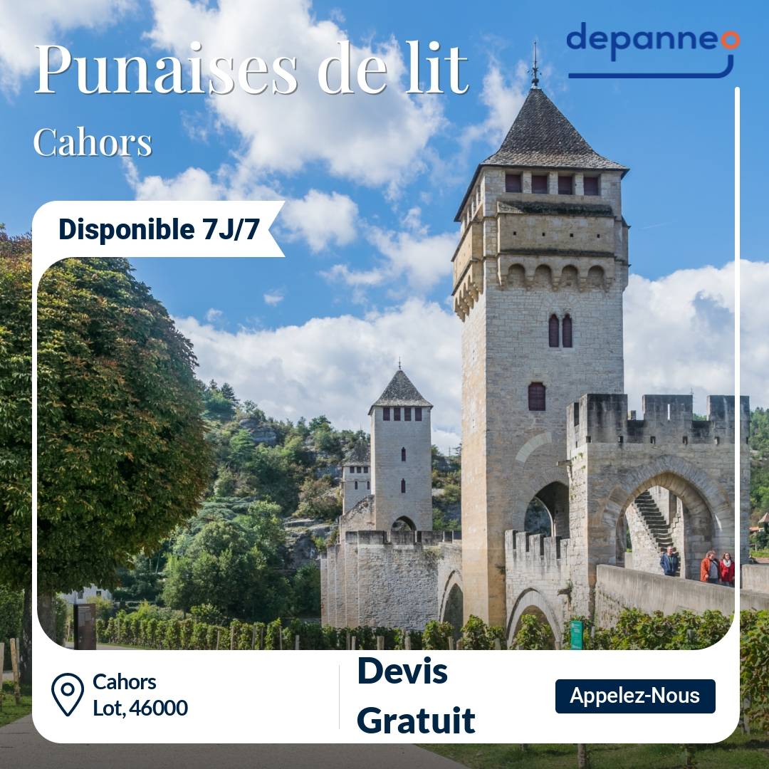 punaise de lit Cahors