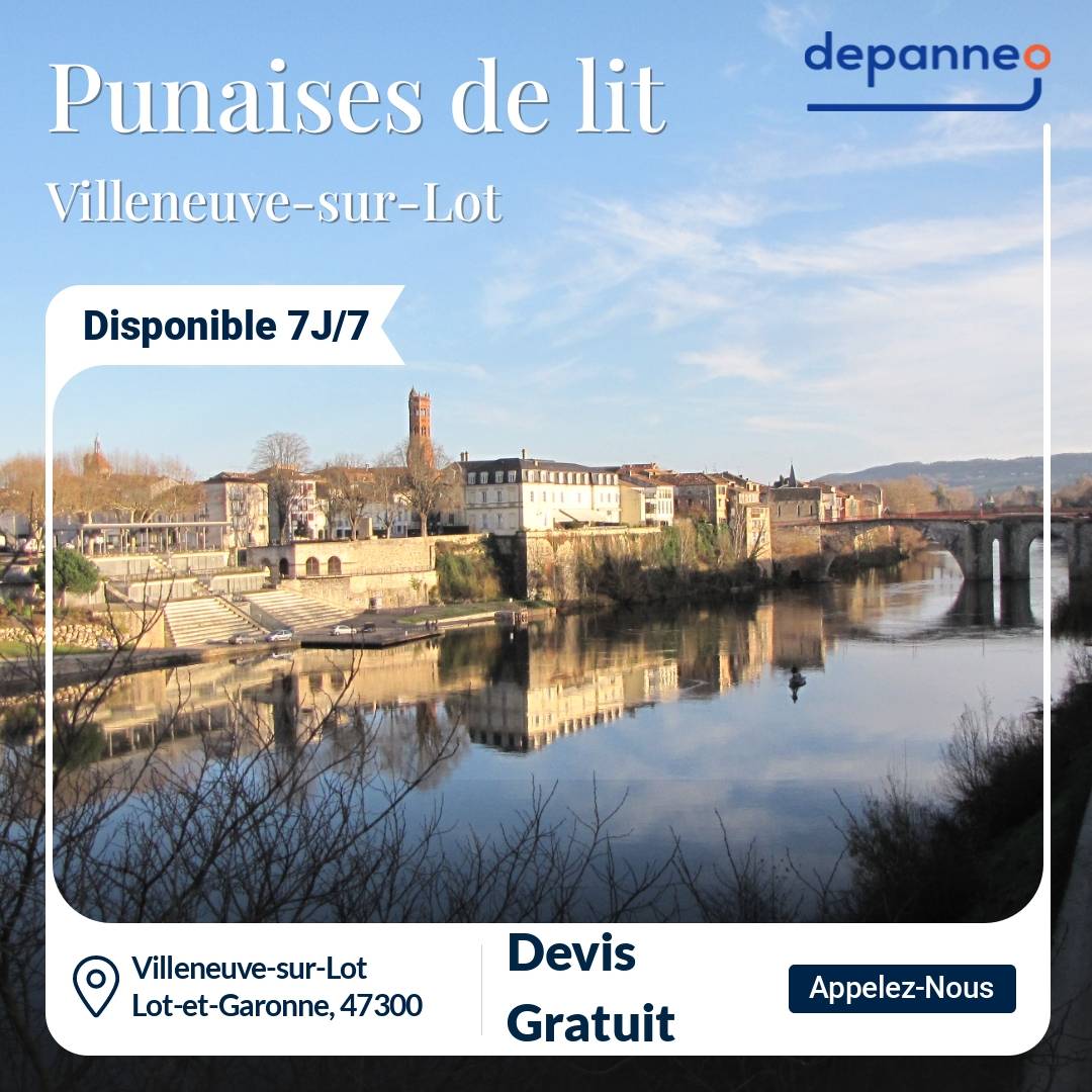 punaise de lit Villeneuve-sur-Lot