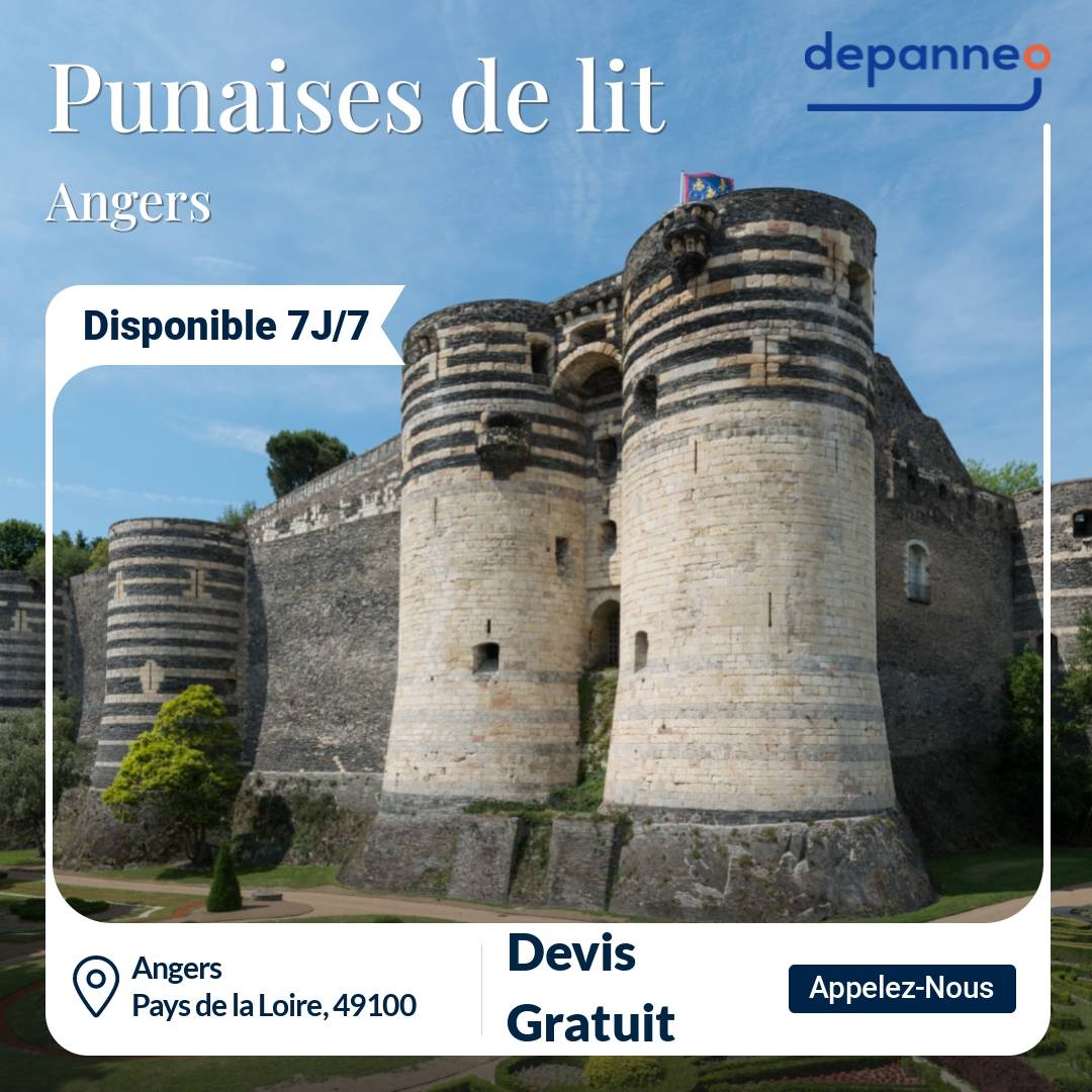 punaise de lit Angers