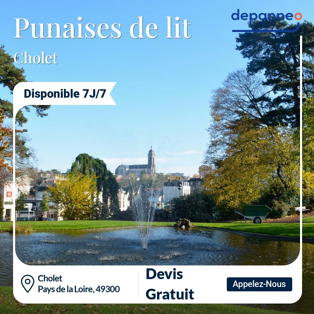 punaise de lit Cholet