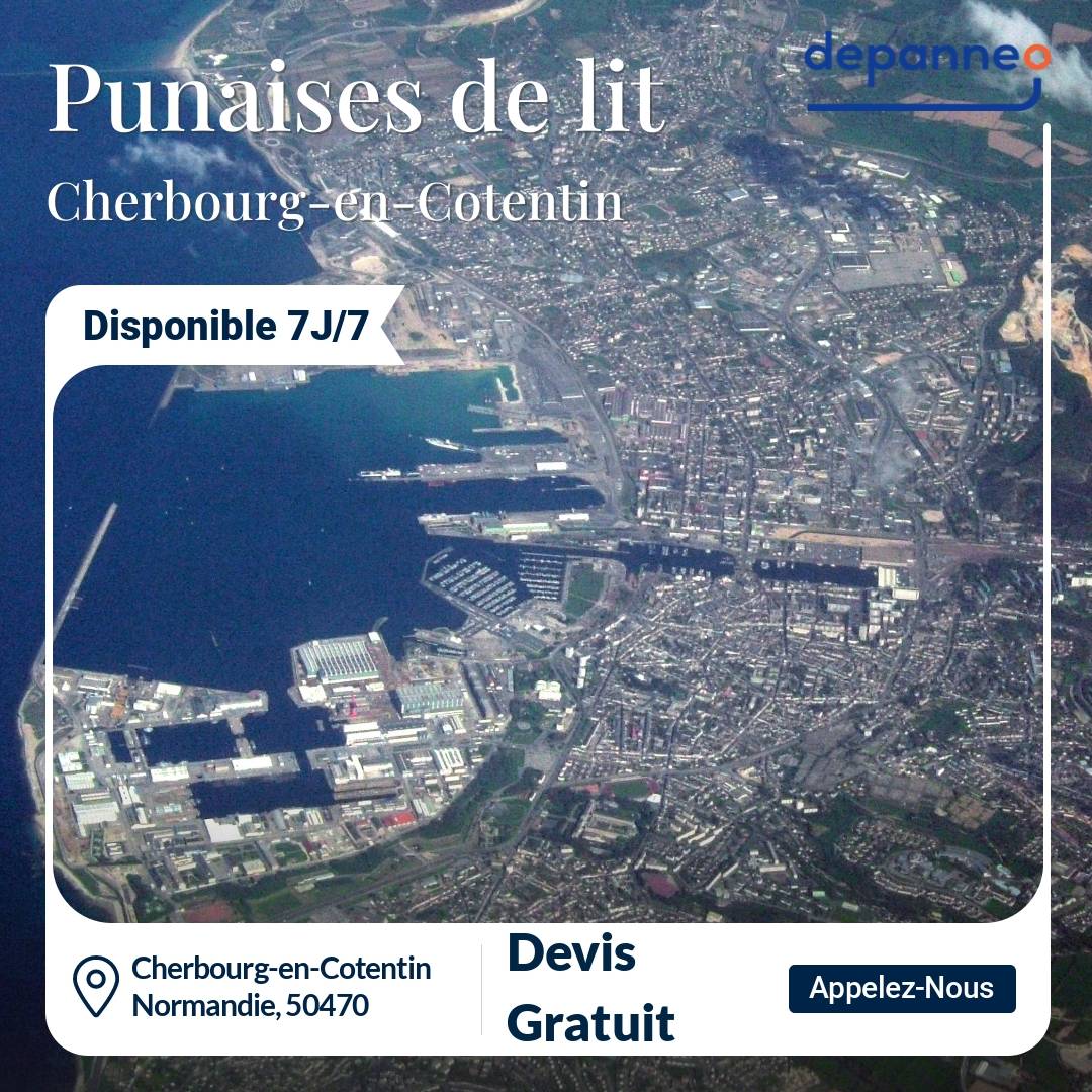 punaise de lit Cherbourg-en-Cotentin