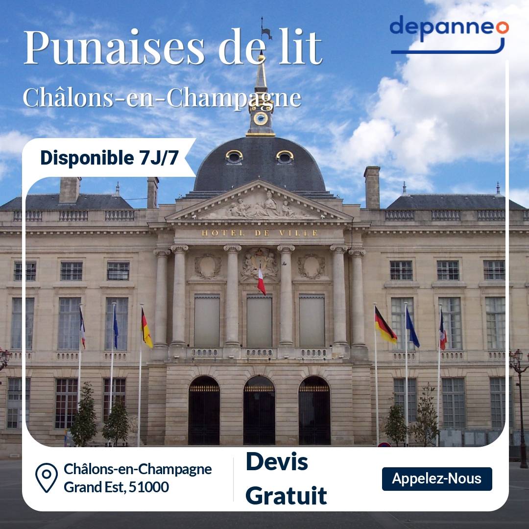 punaise de lit Châlons-en-Champagne