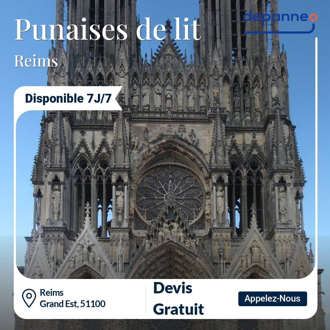 punaise de lit Reims