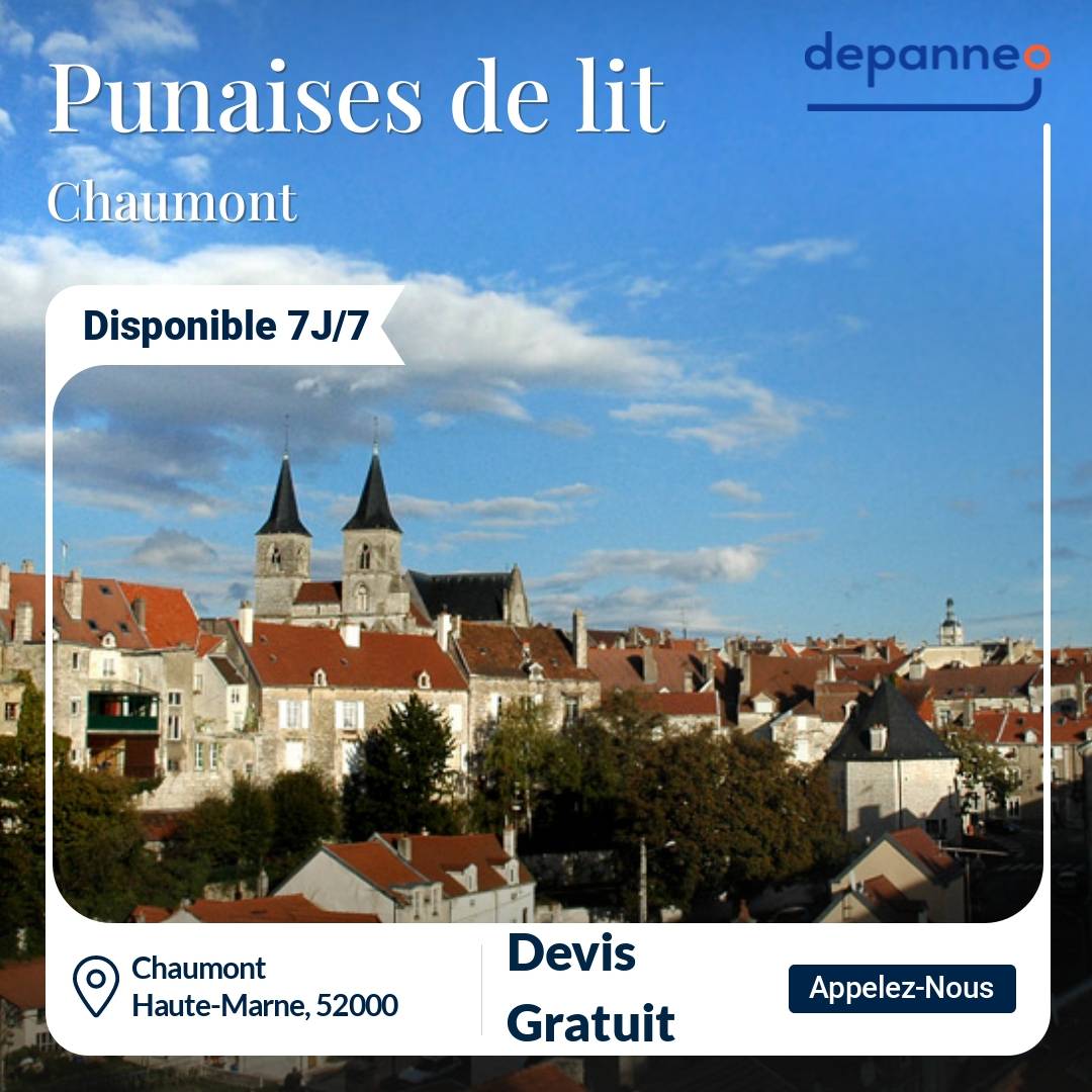 punaise de lit Chaumont