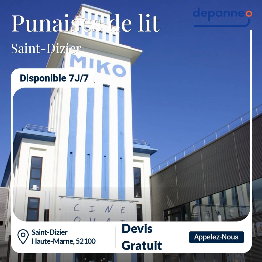 punaise de lit Saint-Dizier