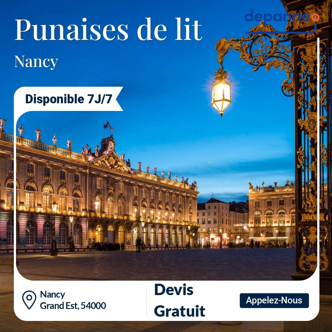 punaise de lit Nancy