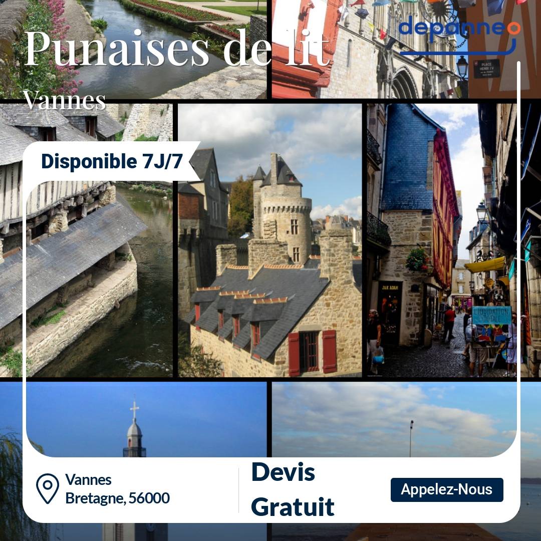punaise de lit Vannes