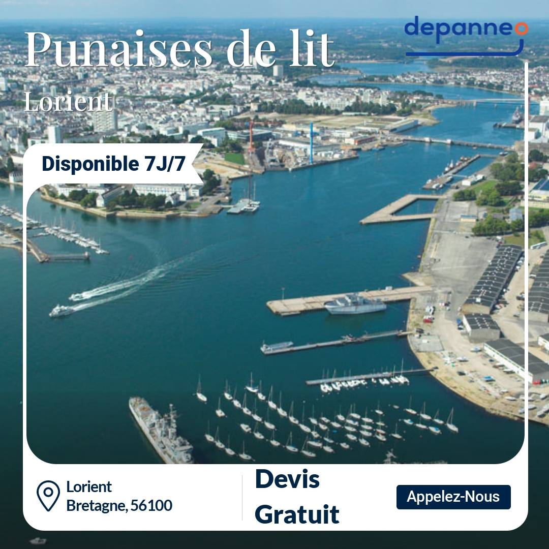 punaise de lit Lorient
