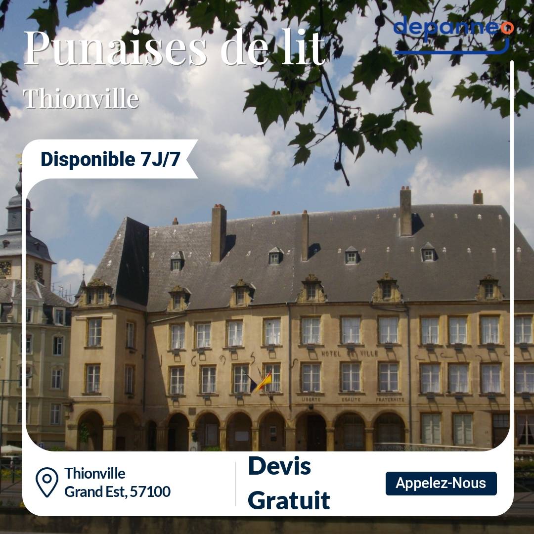 punaise de lit Thionville