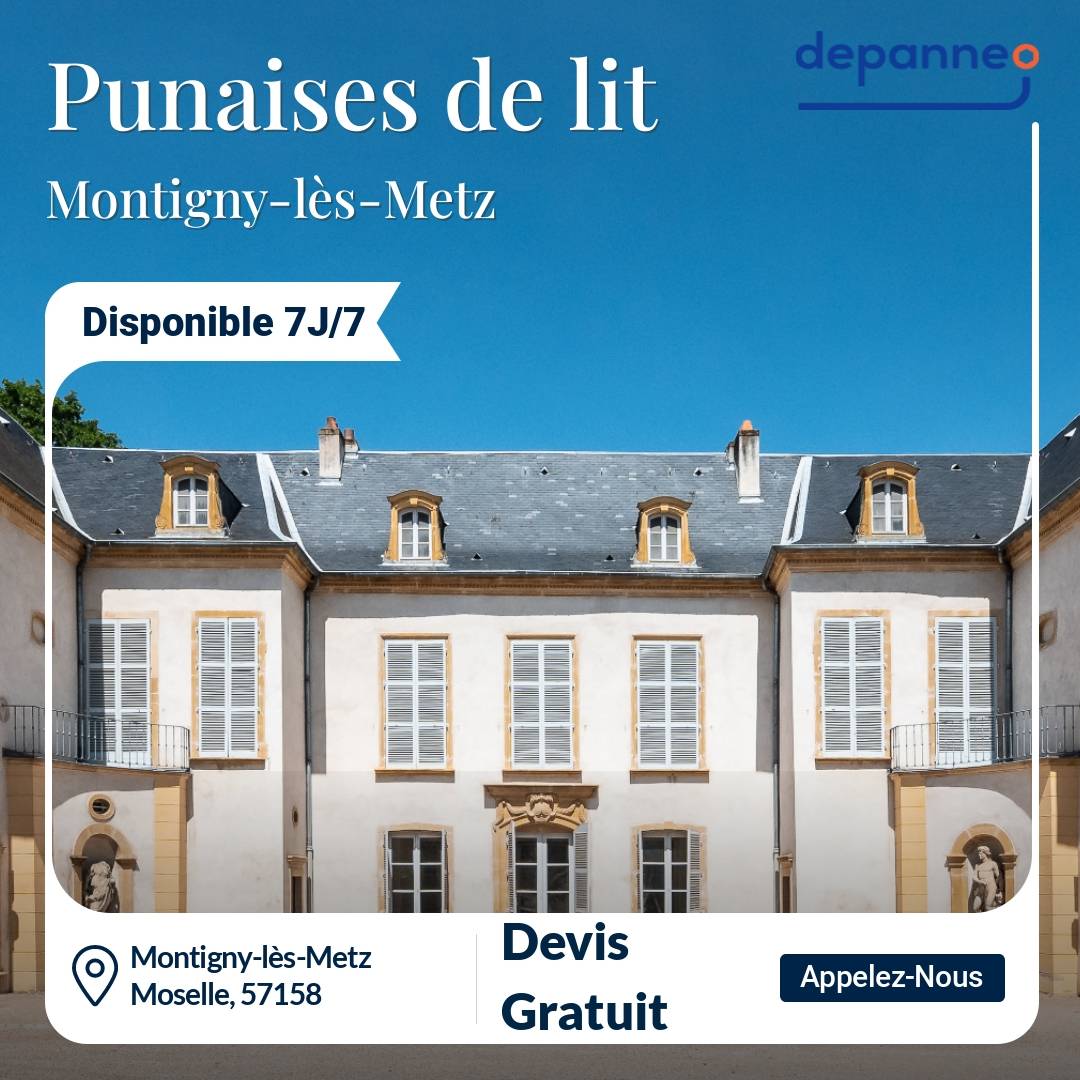 punaise de lit Montigny-lès-Metz