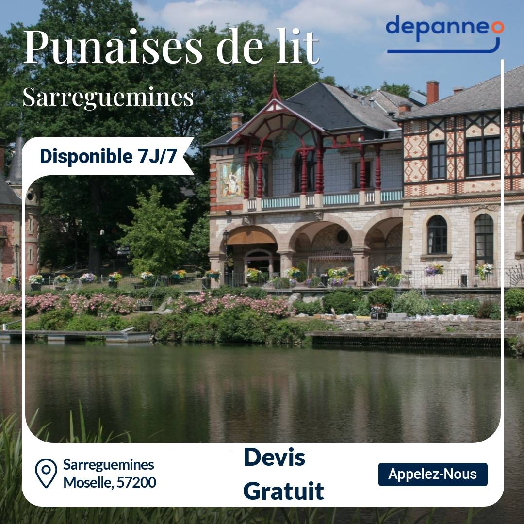 punaise de lit Sarreguemines