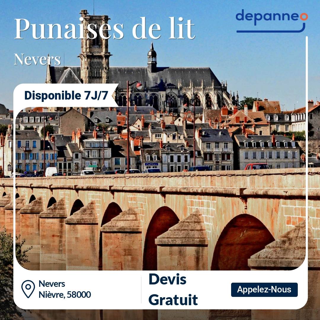 punaise de lit Nevers