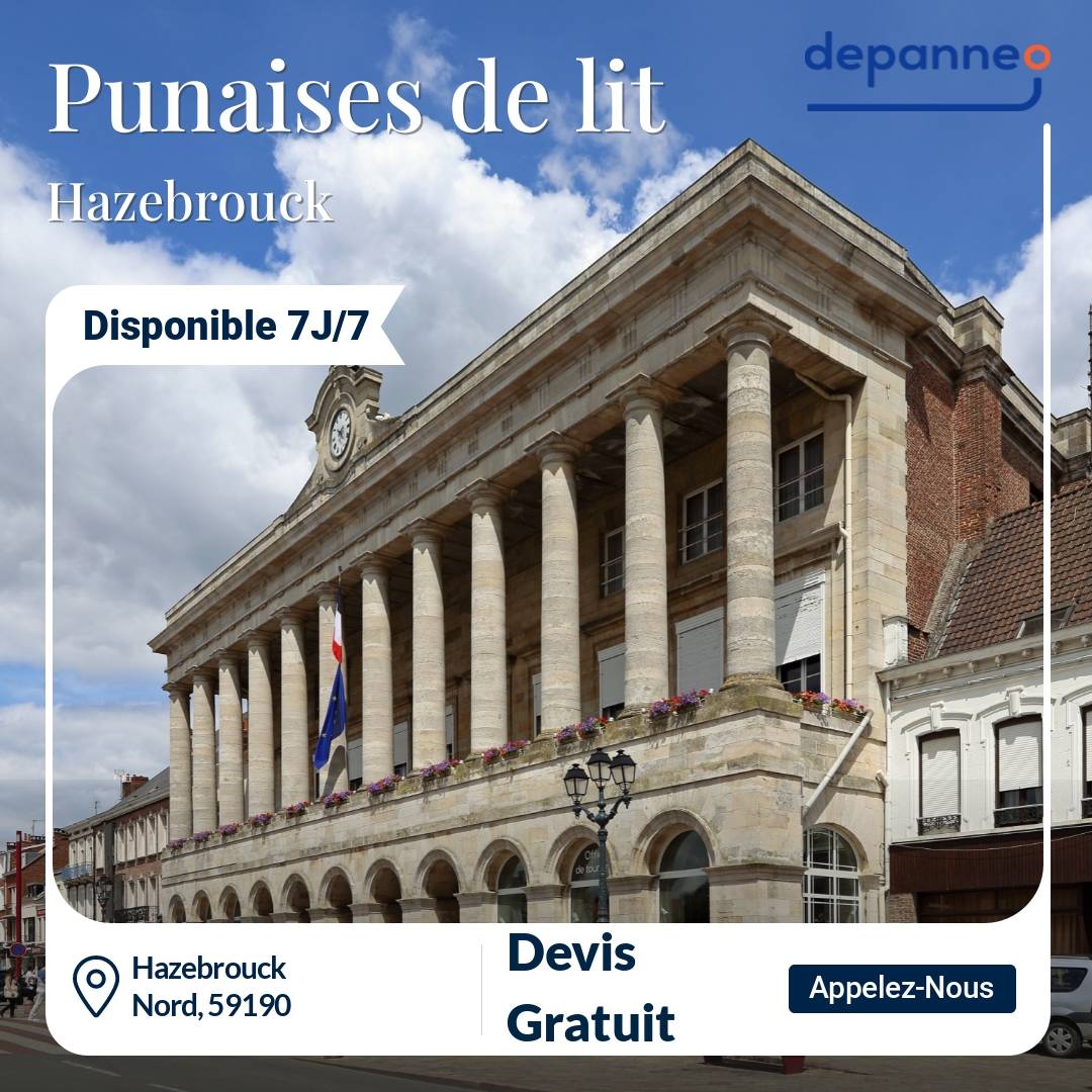 punaise de lit Hazebrouck