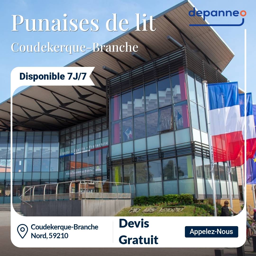 punaise de lit Coudekerque-Branche