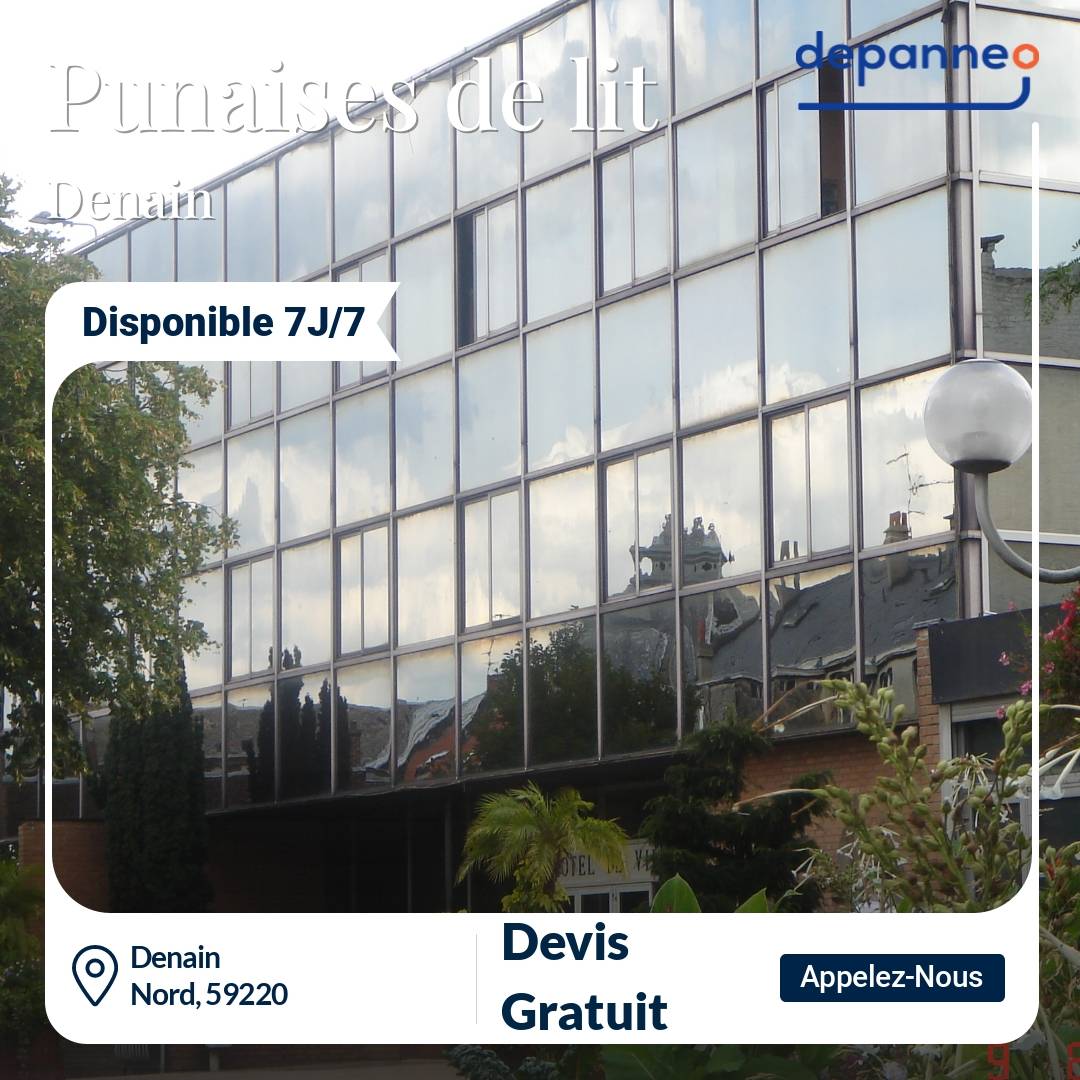 punaise de lit Denain