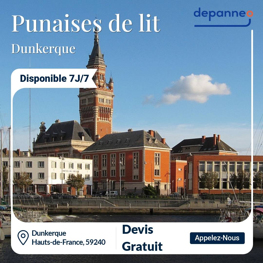 punaise de lit Dunkerque