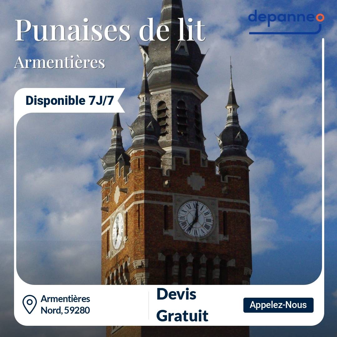 punaise de lit Armentières