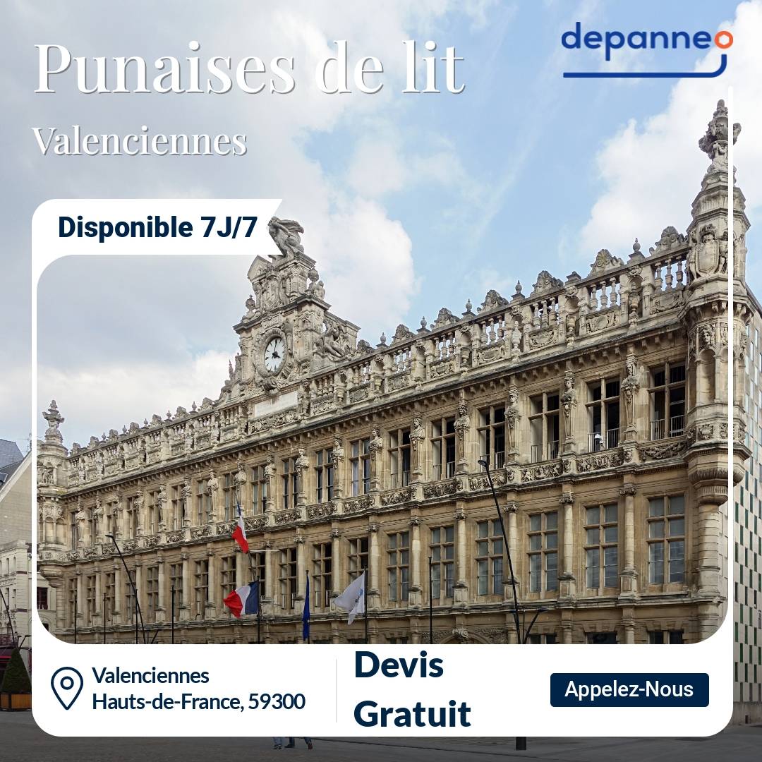 punaise de lit Valenciennes