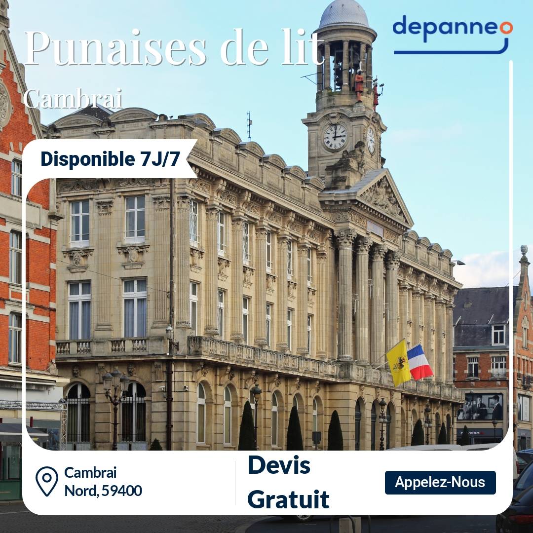 punaise de lit Cambrai