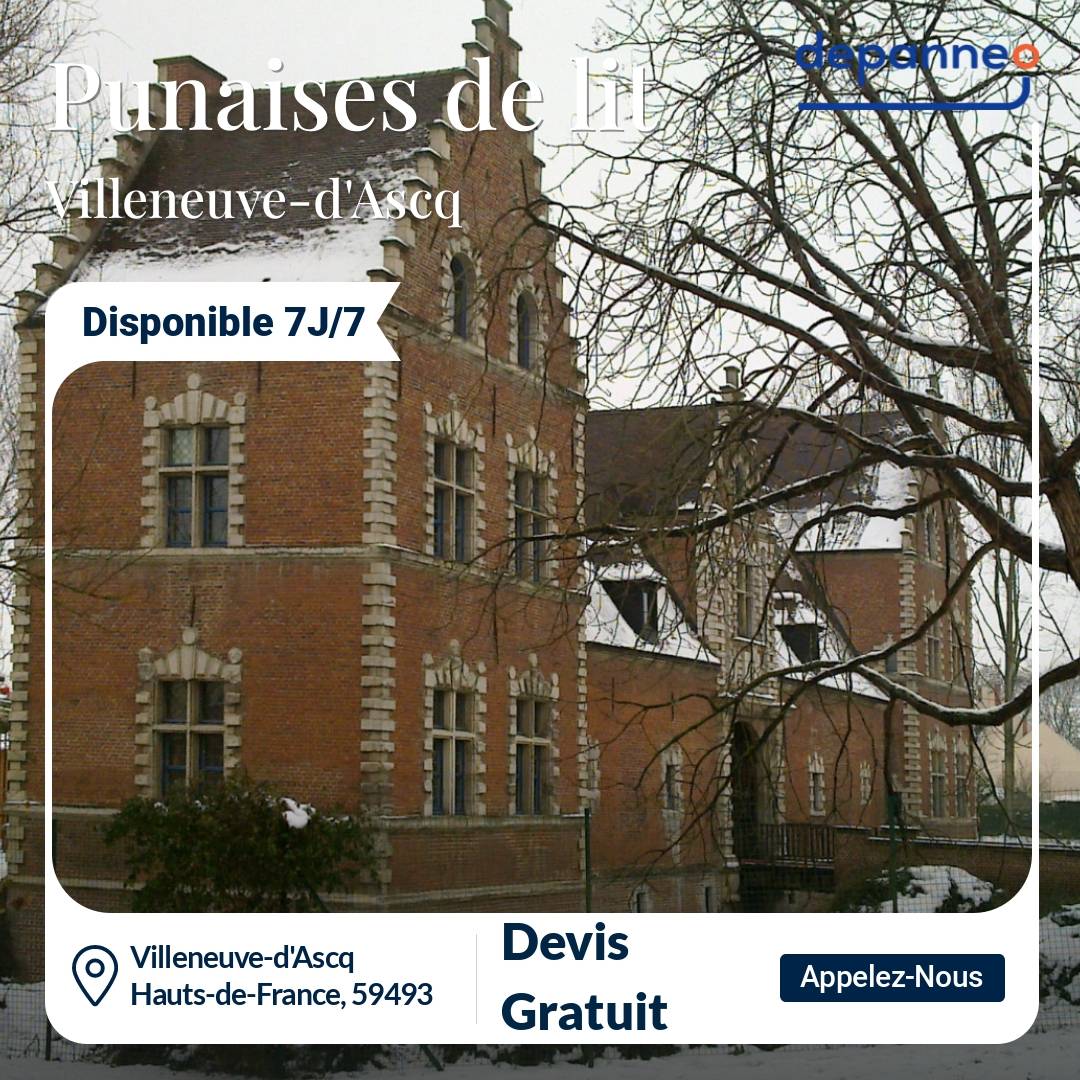 punaise de lit Villeneuve-d'Ascq