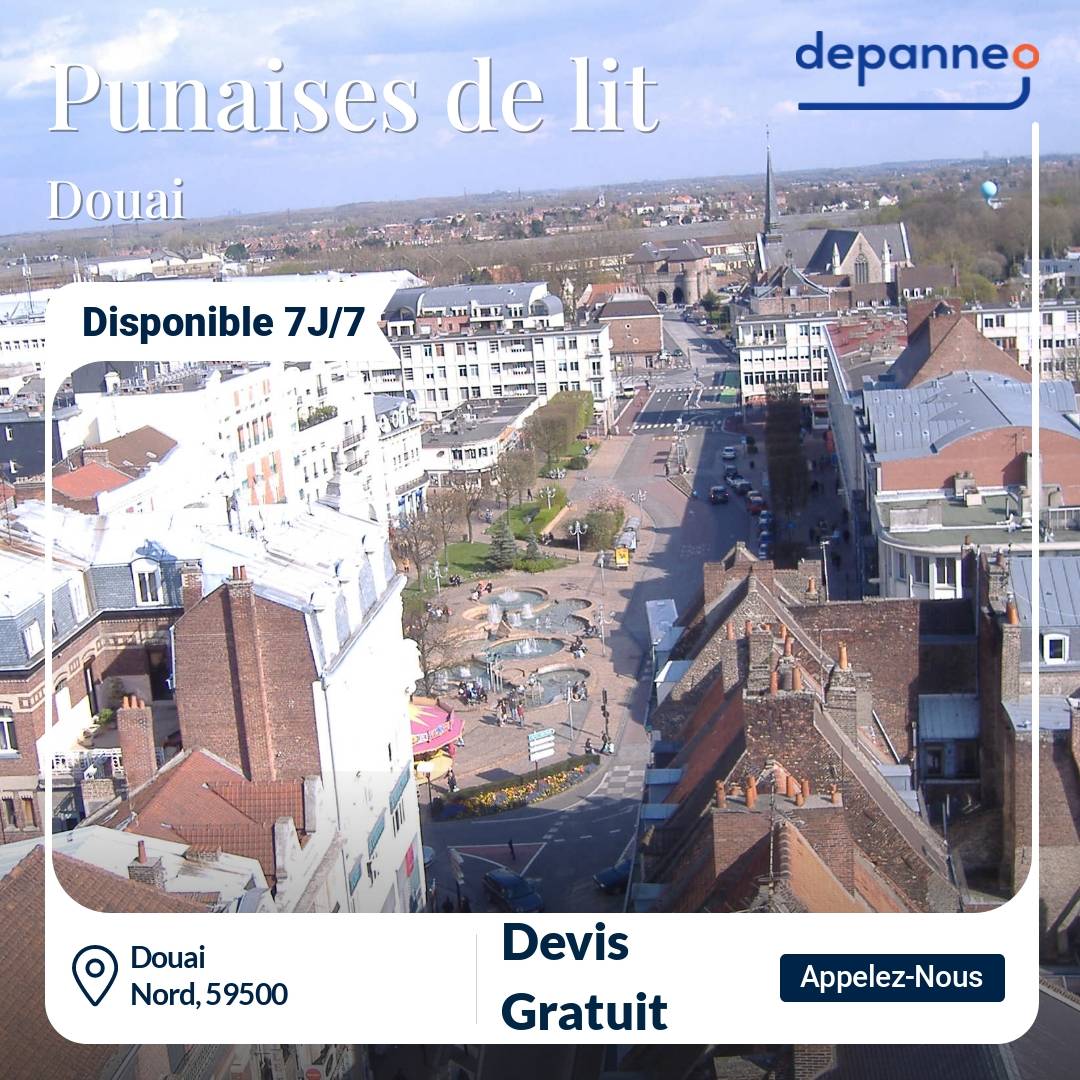 punaise de lit Douai