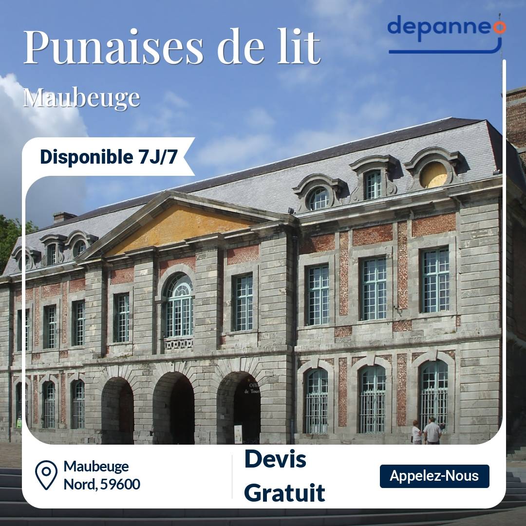 punaise de lit Maubeuge