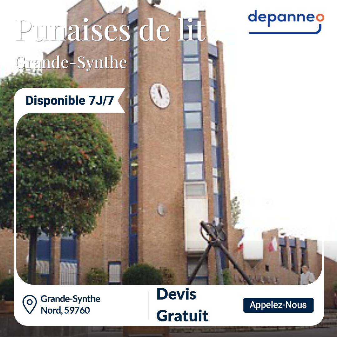 punaise de lit Grande-Synthe