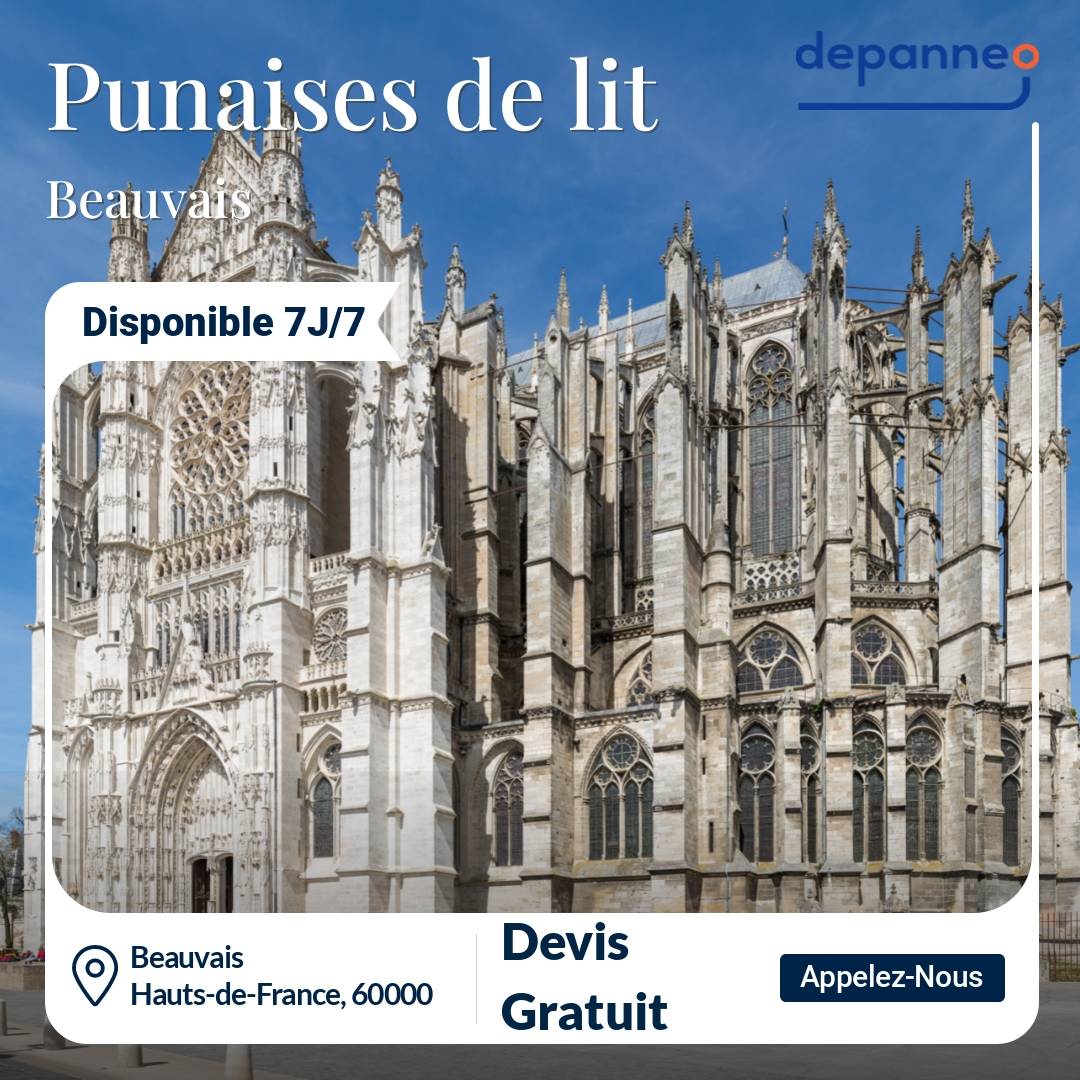 punaise de lit Beauvais