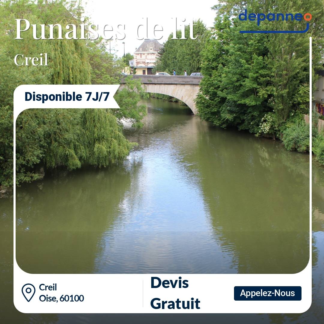 punaise de lit Creil