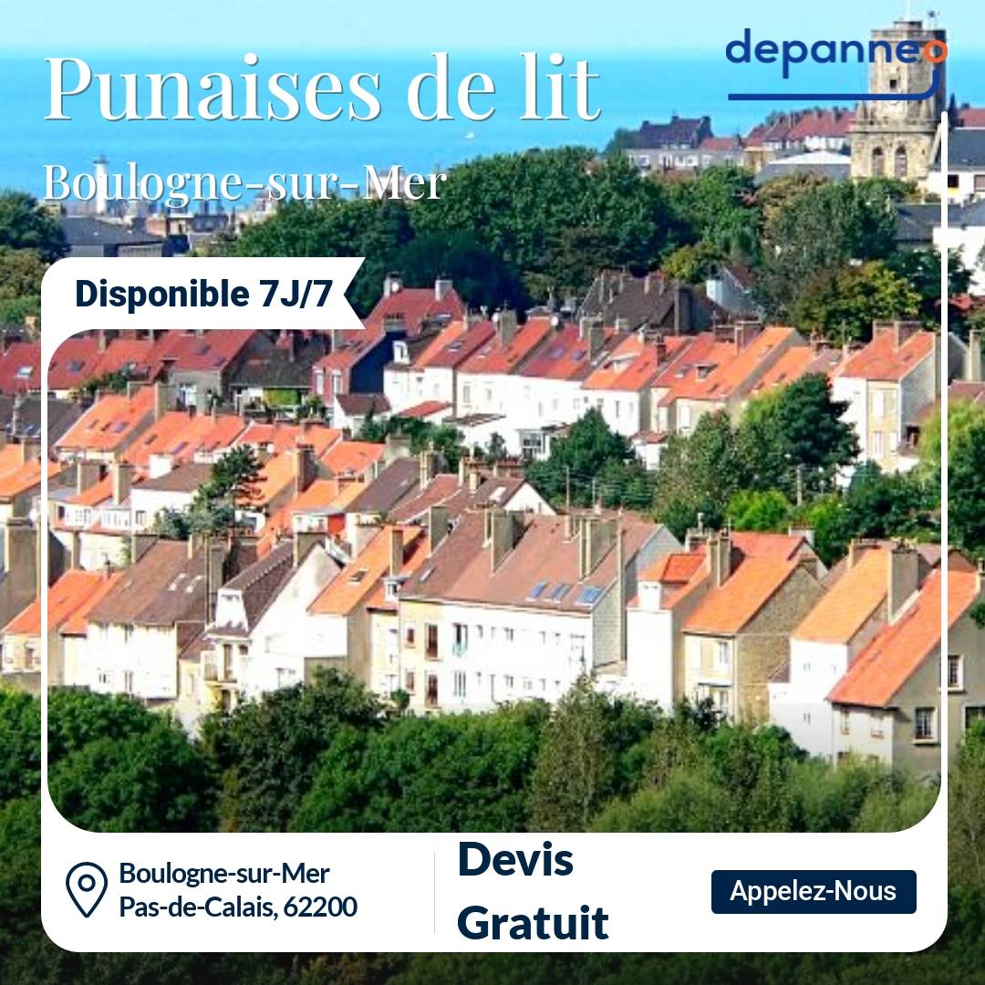 punaise de lit Boulogne-sur-Mer