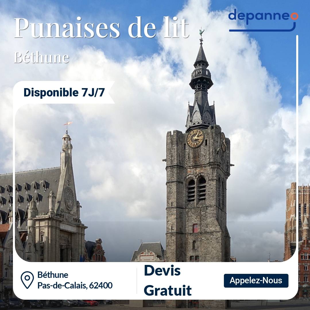 punaise de lit Béthune