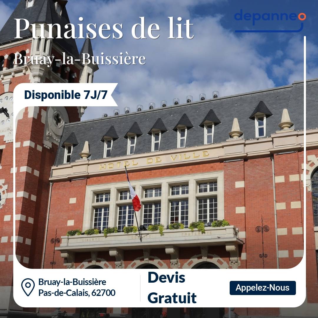 punaise de lit Bruay-la-Buissière