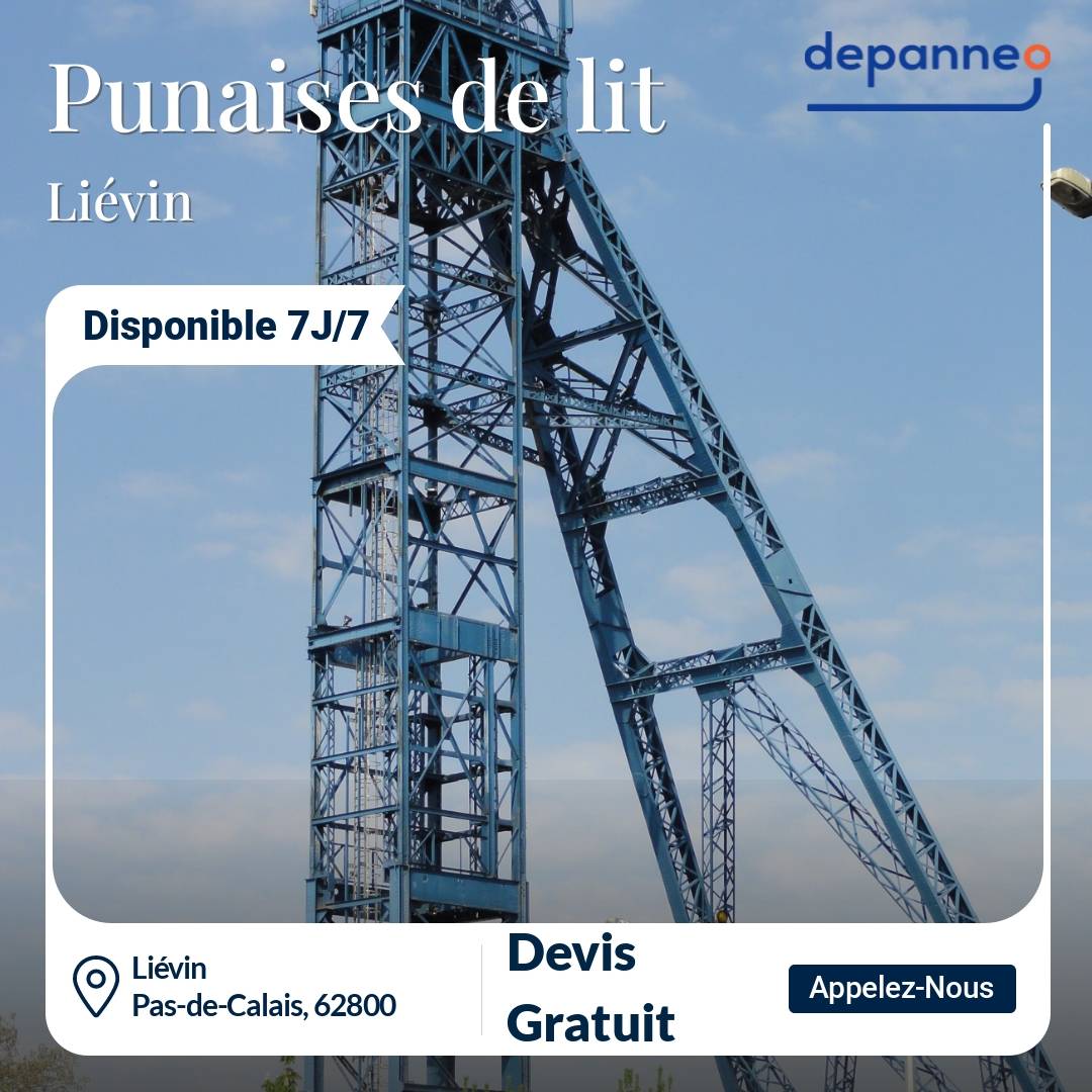 punaise de lit Liévin