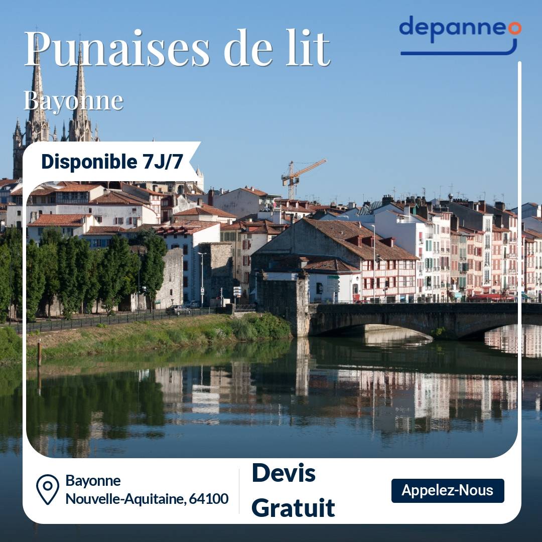 punaise de lit Bayonne