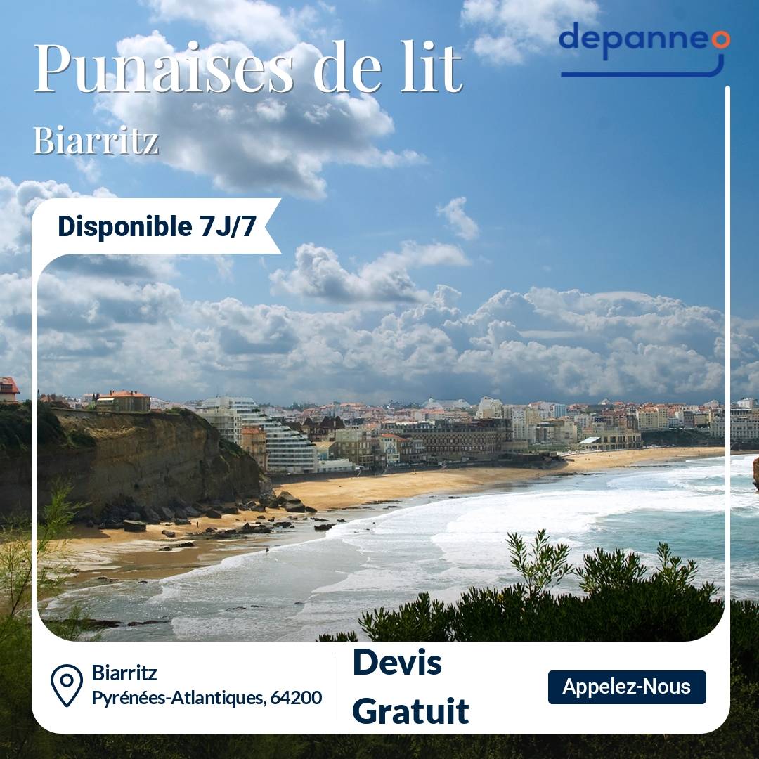 punaise de lit Biarritz