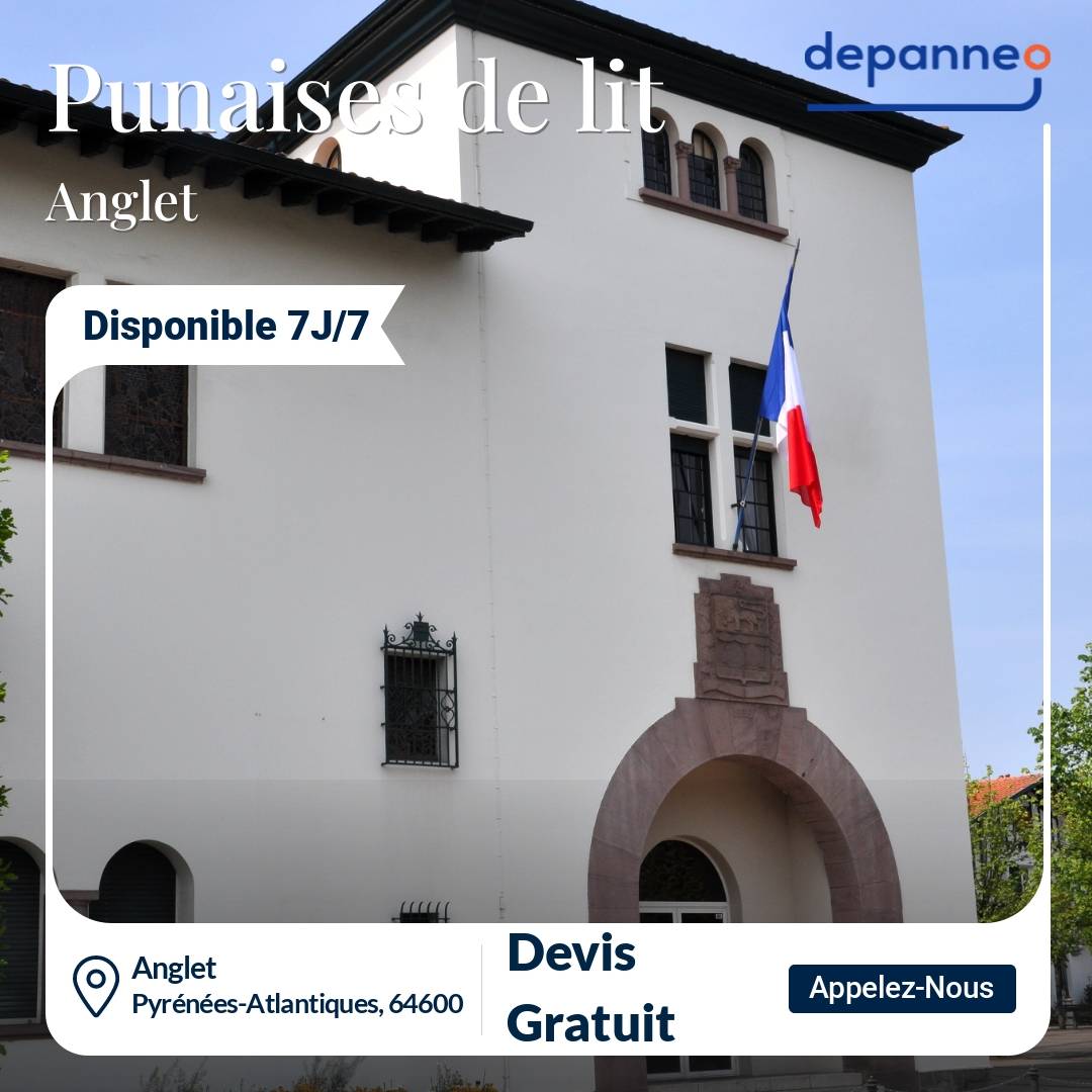 punaise de lit Anglet