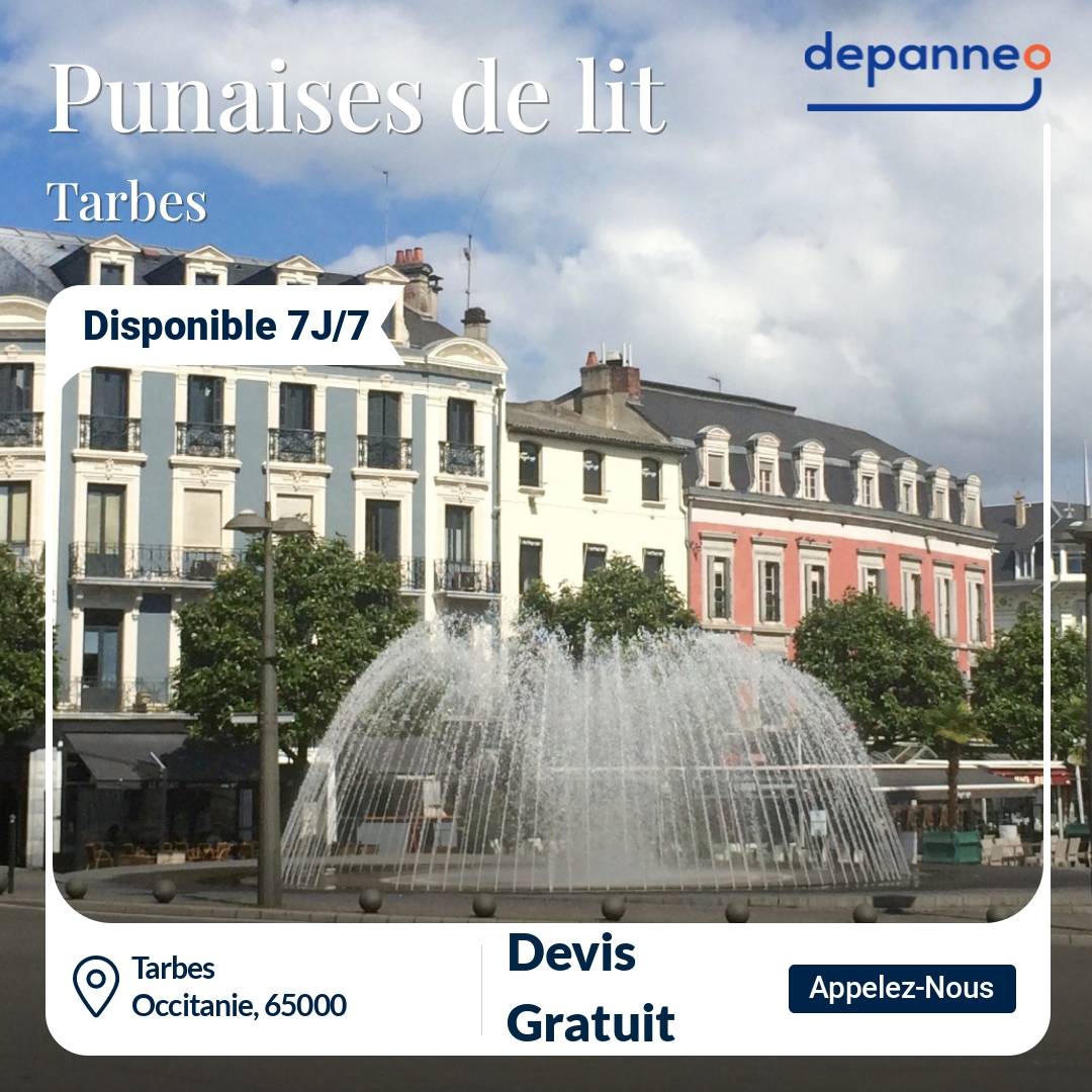 punaise de lit Tarbes