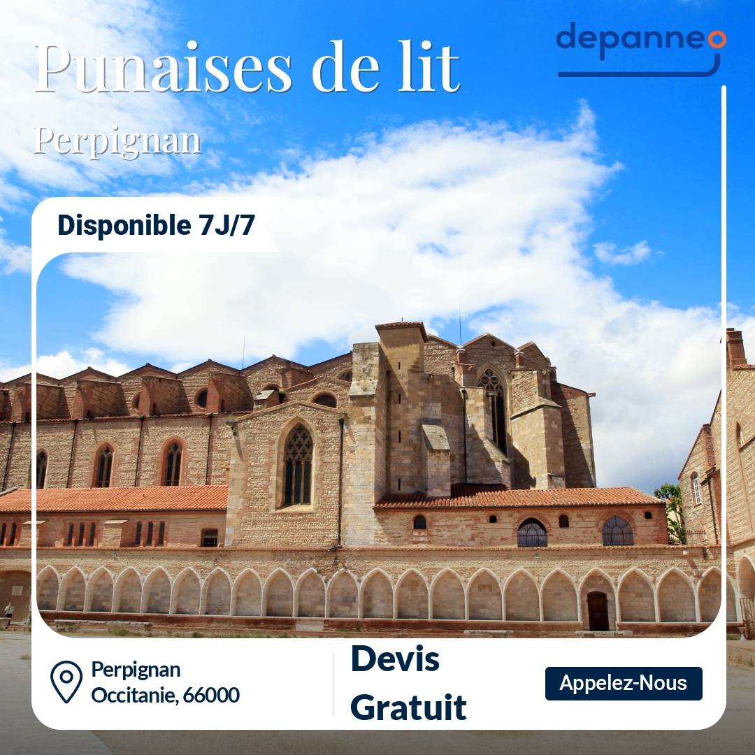 punaise de lit Perpignan