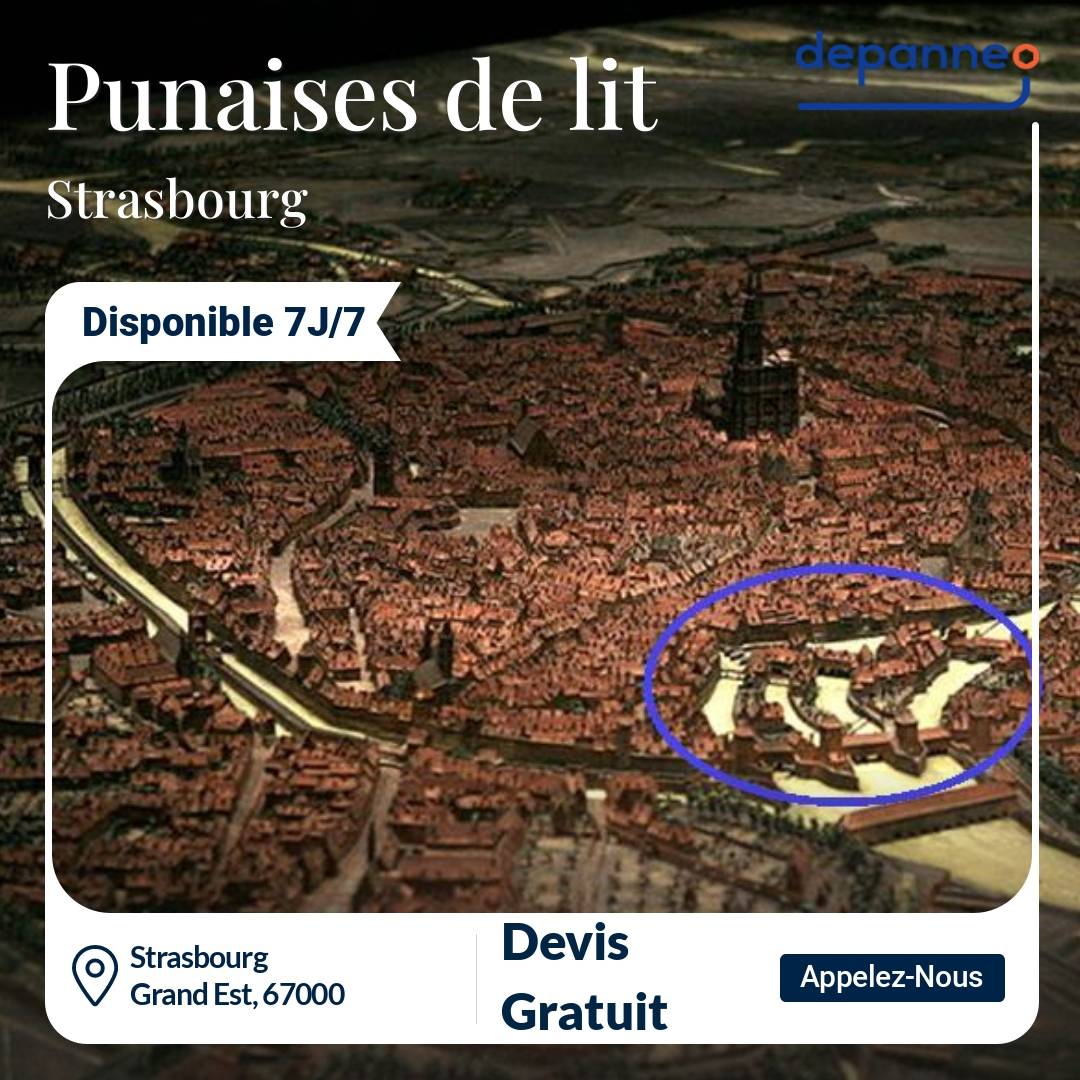 punaise de lit Strasbourg