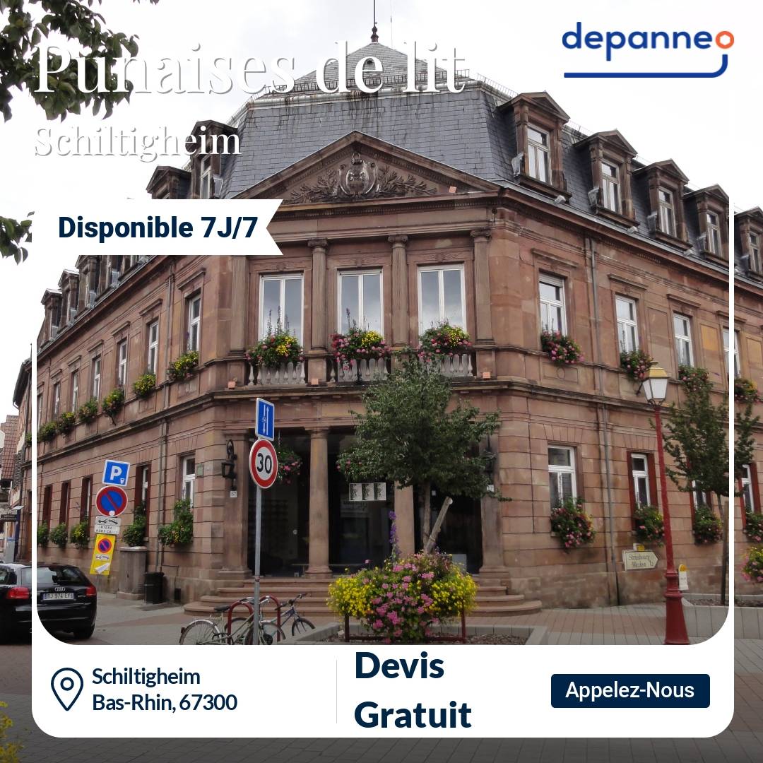 punaise de lit Schiltigheim