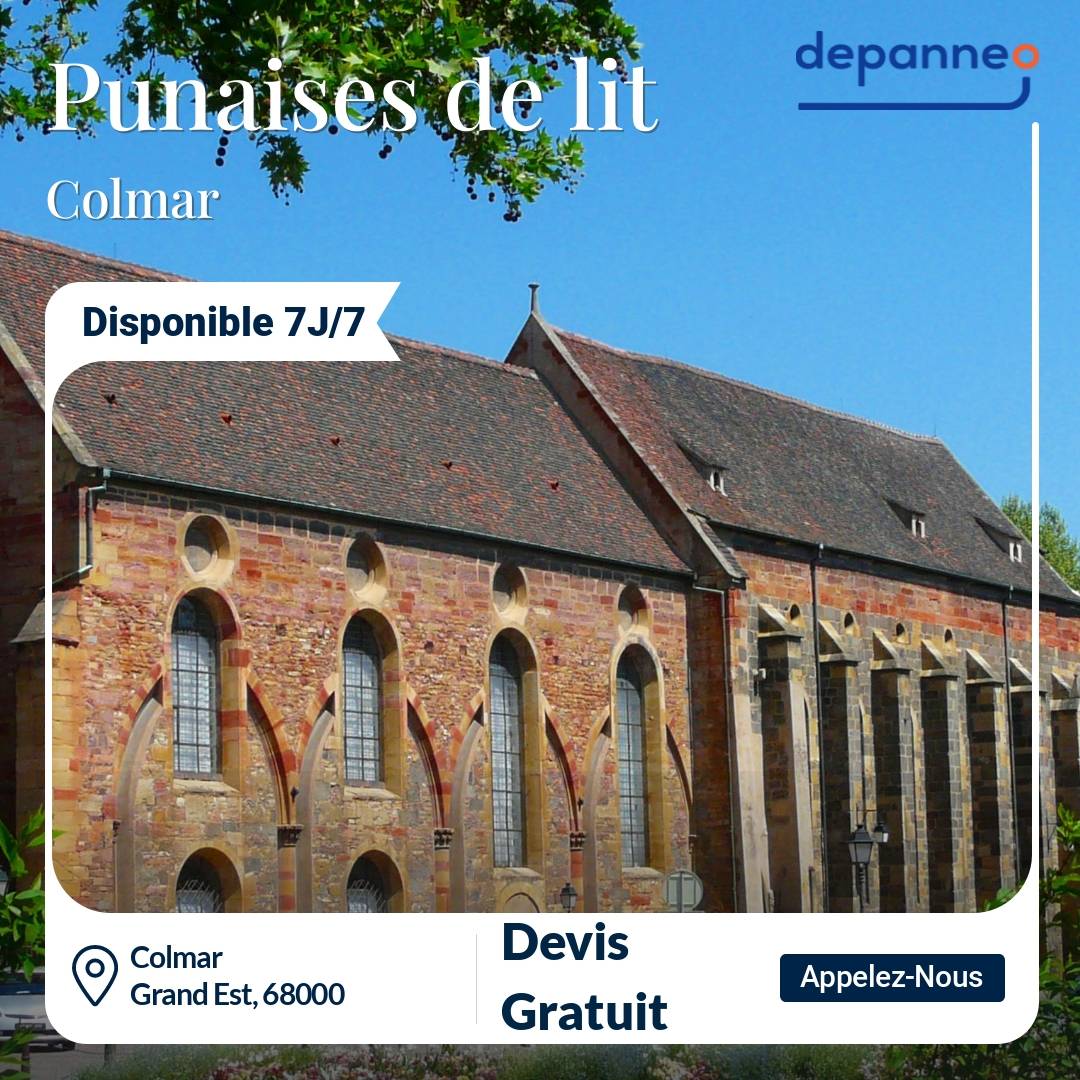 punaise de lit Colmar